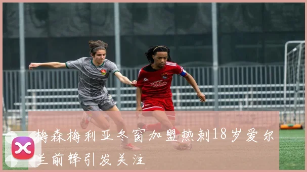 梅森梅利亚冬窗加盟热刺18岁爱尔兰前锋引发关注