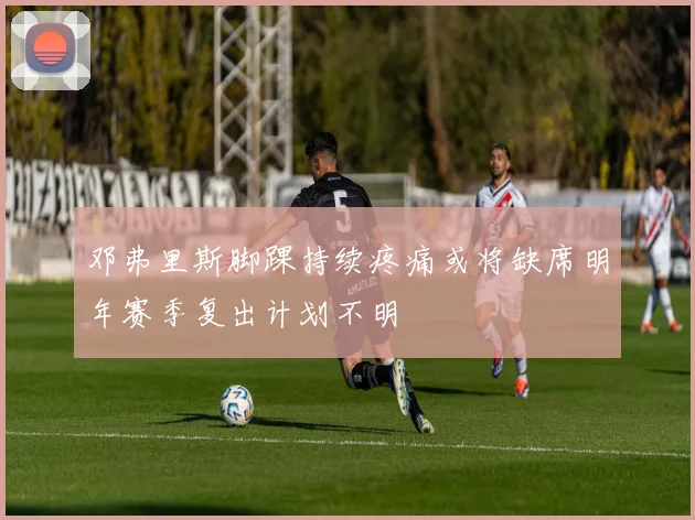 邓弗里斯脚踝持续疼痛或将缺席明年赛季复出计划不明