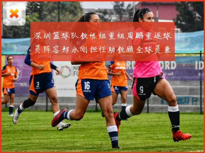 深圳篮球队教练组重组周鹏重返球员阵容郑永刚担任助教顾全球员兼任助教