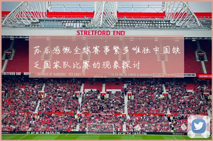 苏东感慨全球赛事繁多唯独中国缺乏国家队比赛的现象探讨
