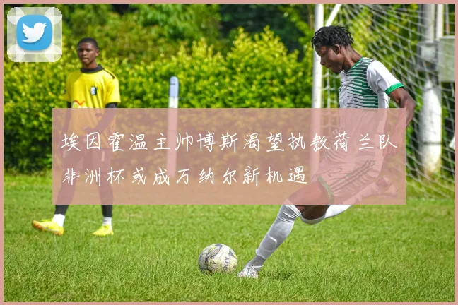 埃因霍温主帅博斯渴望执教荷兰队非洲杯或成万纳尔新机遇