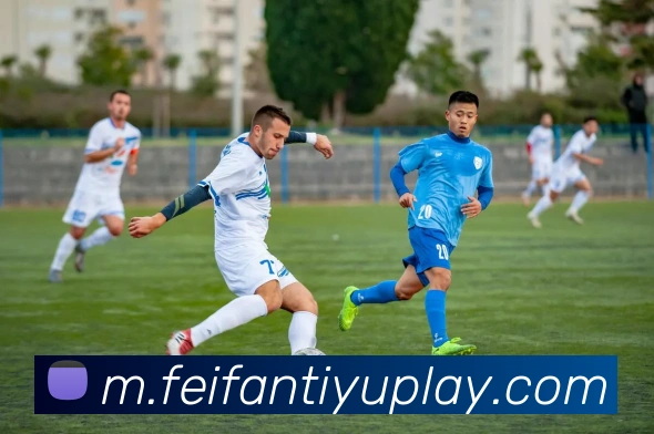 多媒体互动体验